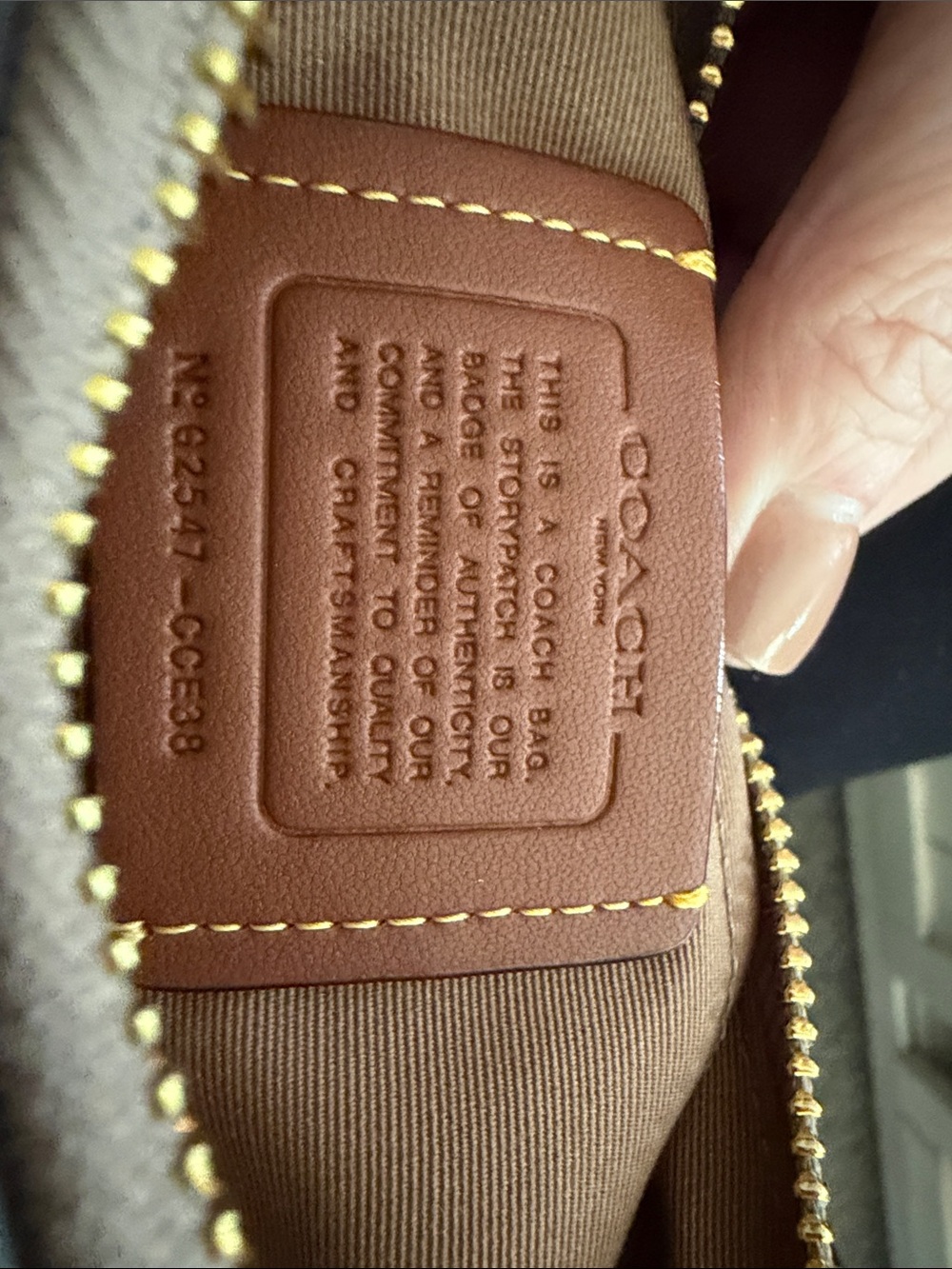 Coach Snake-Print Brown Mini Shoulder Bag with Gold Hardware - Picture 3 of 6